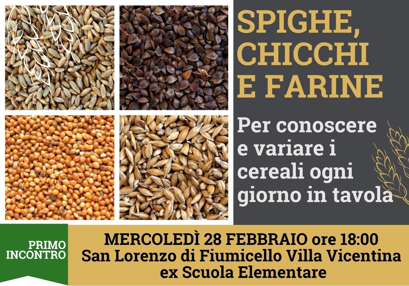 Spighe, chicchi e farine